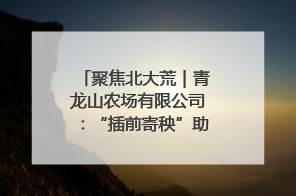 聚焦北大荒｜青龙山农场有限公司：“插前寄秧”助力农业节本增效