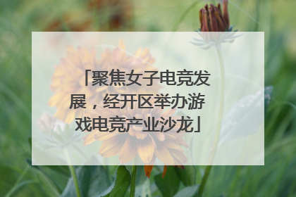 聚焦女子电竞发展，经开区举办游戏电竞产业沙龙