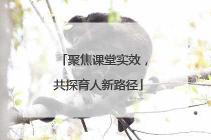 聚焦课堂实效，共探育人新路径