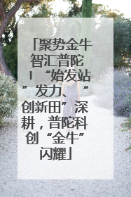 聚势金牛 智汇普陀〡“始发站”发力、“创新田”深耕，普陀科创“金牛”闪耀