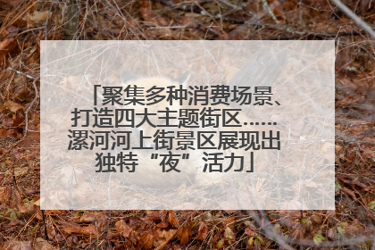 聚集多种消费场景、打造四大主题街区……漯河河上街景区展现出独特“夜”活力