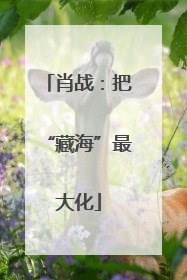 肖战：把“藏海”最大化
