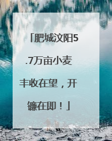 肥城汶阳5.7万亩小麦丰收在望，开镰在即！