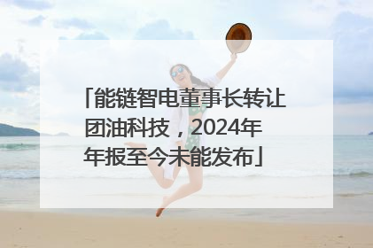 能链智电董事长转让团油科技，2024年年报至今未能发布