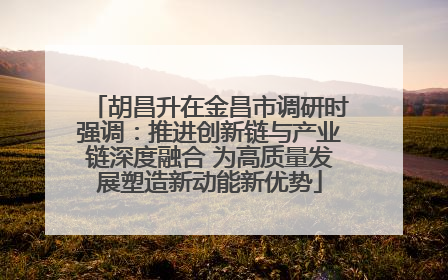 胡昌升在金昌市调研时强调：推进创新链与产业链深度融合 为高质量发展塑造新动能新优势
