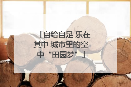 自给自足 乐在其中 城市里的空中“田园梦”