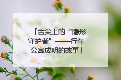 舌尖上的“隐形守护者”——行车公寓成明的故事