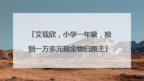 艾载欣，小学一年级，捡到一万多元现金物归原主