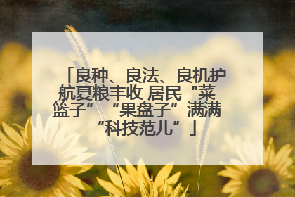 良种、良法、良机护航夏粮丰收 居民“菜篮子”“果盘子”满满“科技范儿”