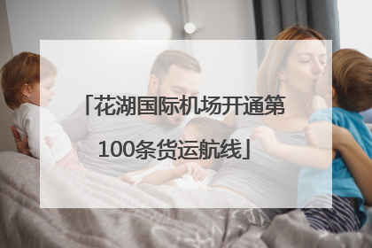 花湖国际机场开通第100条货运航线