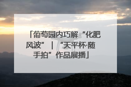 葡萄园内巧解“化肥风波”｜“天平杯·随手拍”作品展播