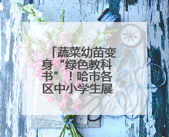 蔬菜幼苗变身“绿色教科书”！哈市各区中小学生展示种植成果