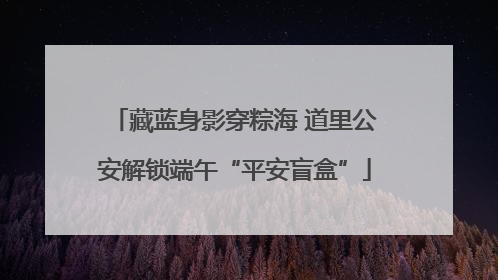 藏蓝身影穿粽海 道里公安解锁端午“平安盲盒”