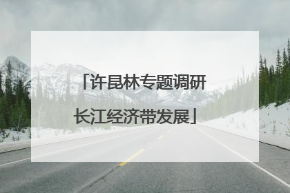 许昆林专题调研长江经济带发展