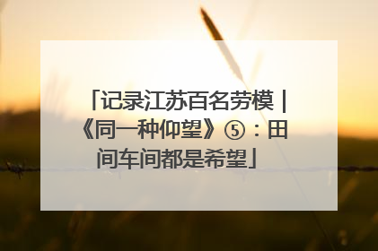 记录江苏百名劳模｜《同一种仰望》⑤：田间车间都是希望