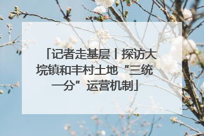 记者走基层丨探访大垸镇和丰村土地“三统一分”运营机制