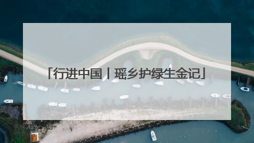 行进中国丨瑶乡护绿生金记