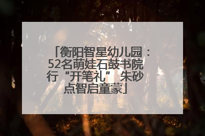 衡阳智星幼儿园：52名萌娃石鼓书院行“开笔礼” 朱砂点智启童蒙