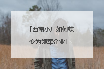 西南小厂如何蝶变为领军企业