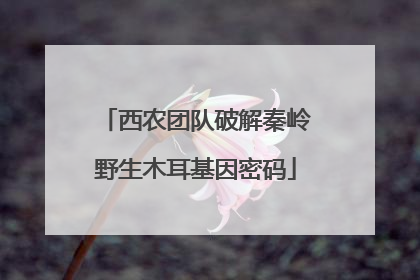 西农团队破解秦岭野生木耳基因密码