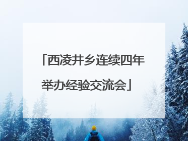 西凌井乡连续四年举办经验交流会