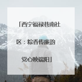 西宁福禄巷南社区：粽香传廉韵 党心映端阳