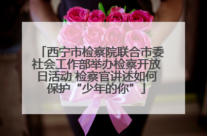 西宁市检察院联合市委社会工作部举办检察开放日活动 检察官讲述如何保护“少年的你”