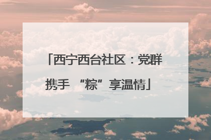 西宁西台社区：党群携手 “粽”享温情