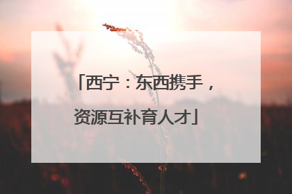 西宁：东西携手，资源互补育人才