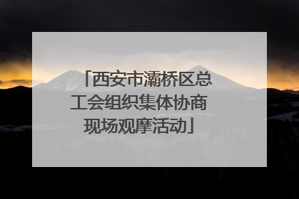 西安市灞桥区总工会组织集体协商现场观摩活动