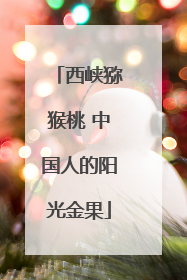 西峡猕猴桃 中国人的阳光金果
