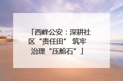 西峰公安：深耕社区“责任田” 筑牢治理“压舱石”