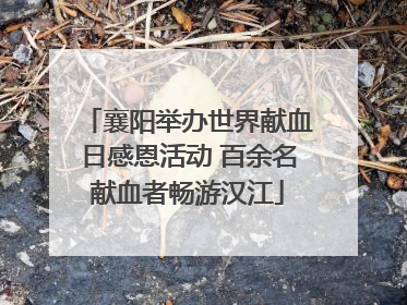 襄阳举办世界献血日感恩活动 百余名献血者畅游汉江