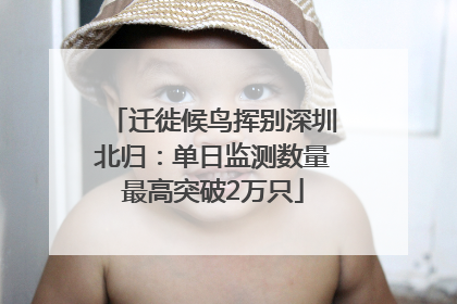 迁徙候鸟挥别深圳北归：单日监测数量最高突破2万只