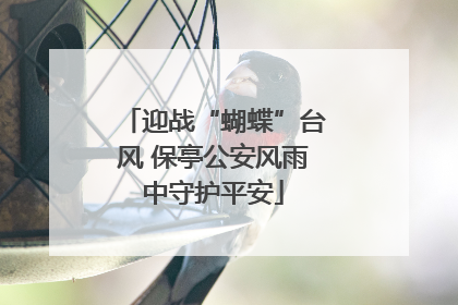 迎战“蝴蝶”台风 保亭公安风雨中守护平安