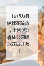 近5万株绣球花绽放，上海滨江森林公园绣球花展开幕