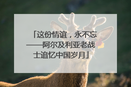 这份情谊，永不忘——阿尔及利亚老战士追忆中国岁月