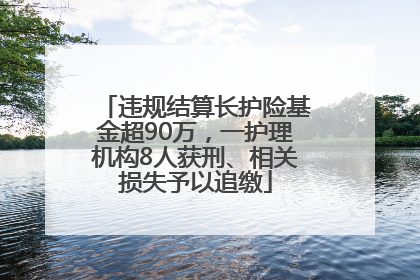 违规结算长护险基金超90万，一护理机构8人获刑、相关损失予以追缴