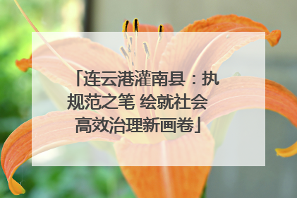 连云港灌南县：执规范之笔 绘就社会高效治理新画卷
