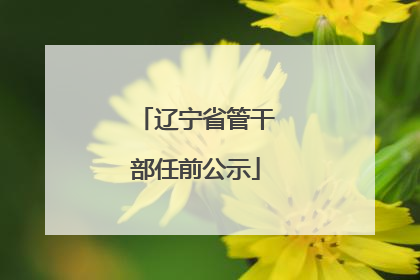 辽宁省管干部任前公示