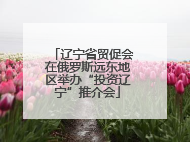 辽宁省贸促会在俄罗斯远东地区举办“投资辽宁”推介会