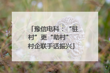 豫信电科：“驻村”更“助村” 村企联手话振兴