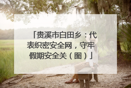 贵溪市白田乡：代表织密安全网，守牢假期安全关（图）