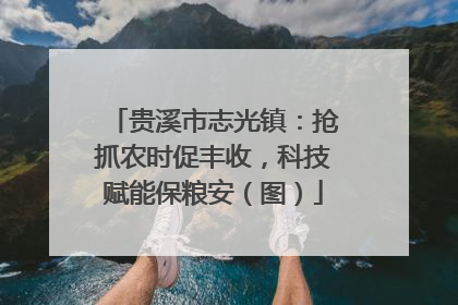 贵溪市志光镇：抢抓农时促丰收，科技赋能保粮安（图）