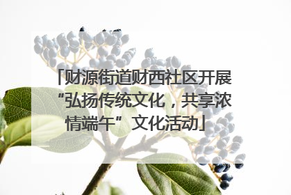 财源街道财西社区开展“弘扬传统文化，共享浓情端午”文化活动