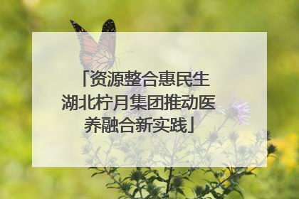 资源整合惠民生 湖北柠月集团推动医养融合新实践