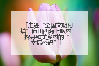 走进“全国文明村镇”庐山西海上畈村 探寻和美乡村的“幸福密码”