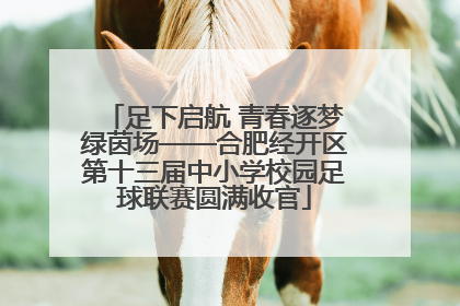 足下启航 青春逐梦绿茵场——合肥经开区第十三届中小学校园足球联赛圆满收官