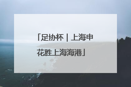 足协杯｜上海申花胜上海海港