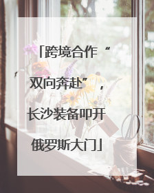 跨境合作“双向奔赴”，长沙装备叩开俄罗斯大门
